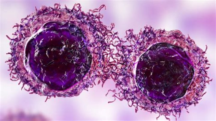 What does it mean to have cancer in Mars?