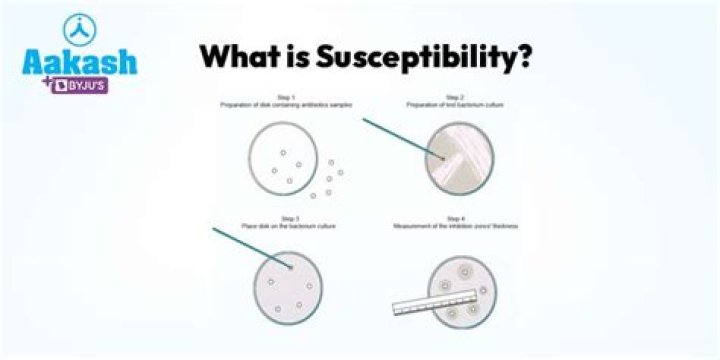 What does make susceptible mean?