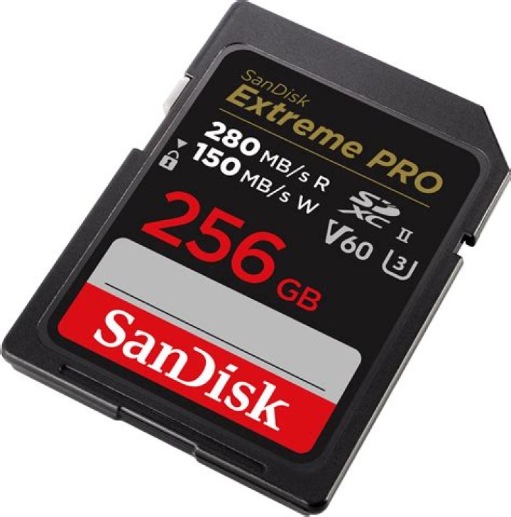 What format should SD card be for GoPro?