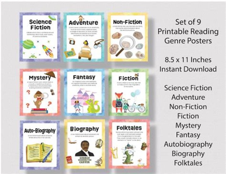 What genre is the book with no pictures?