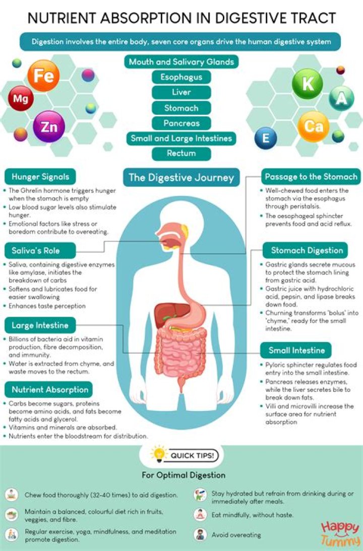 What happens if a child doesn't get enough nutrients?