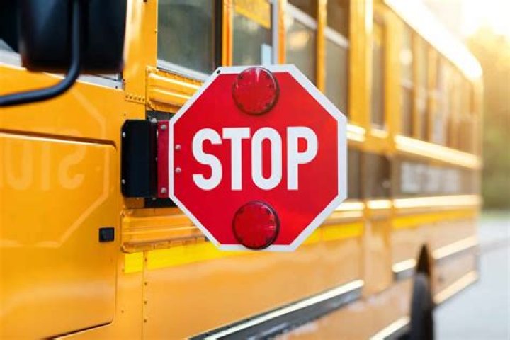 What happens if you run a school bus stop sign?