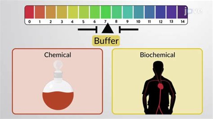 What is a buffer object?