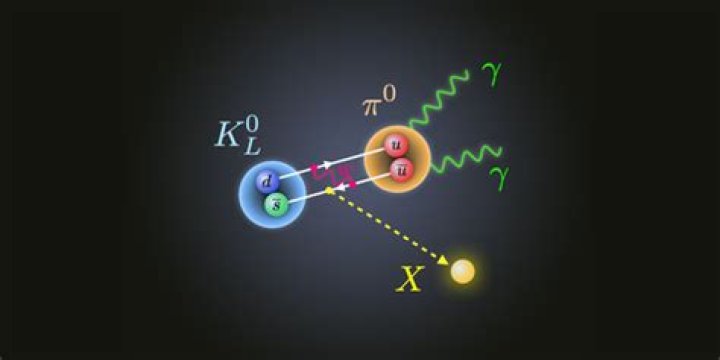 What is a kaon particle?