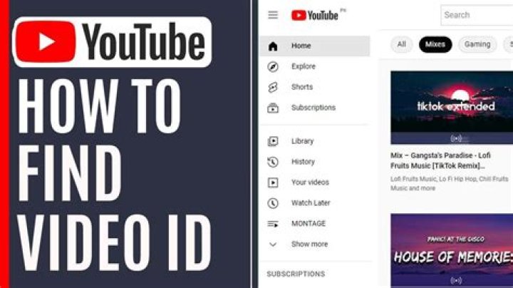 What is a video ID on YouTube?