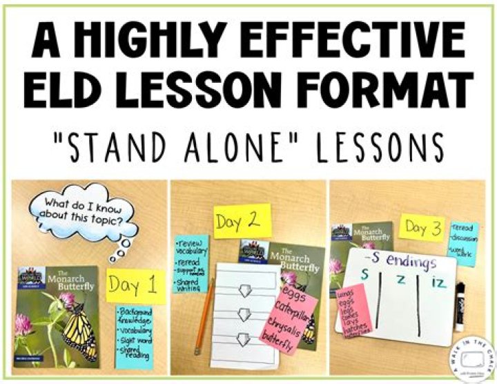 What is an ELD lesson?