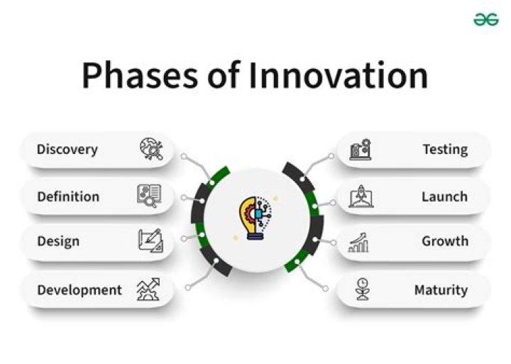 What is an innovation champion?