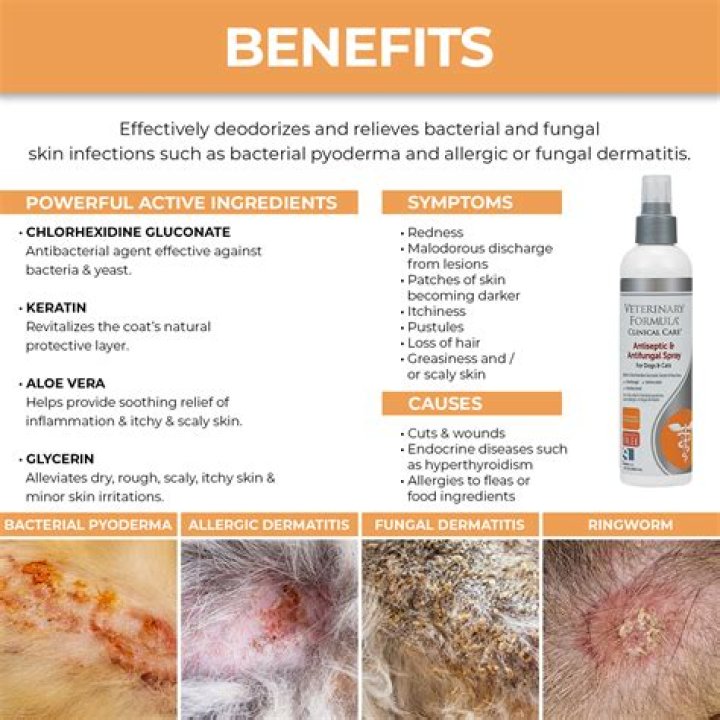 What is antifungal shampoo for dogs?