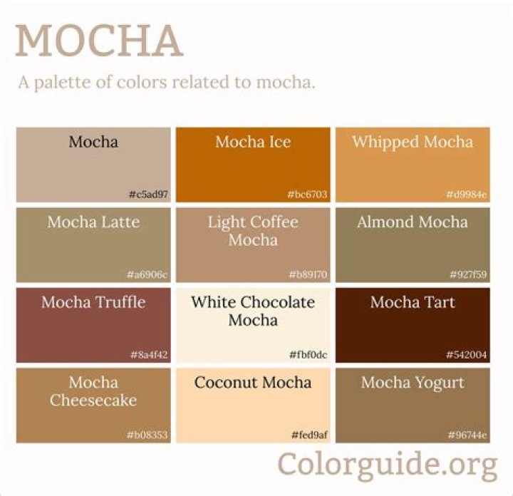 What is difference between Mokka and Mokka X?