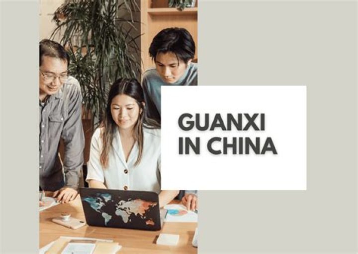 What is guanxi network?