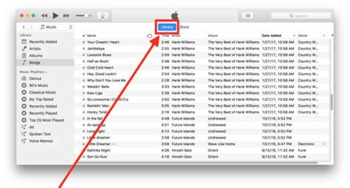 What is Itunes crash log?