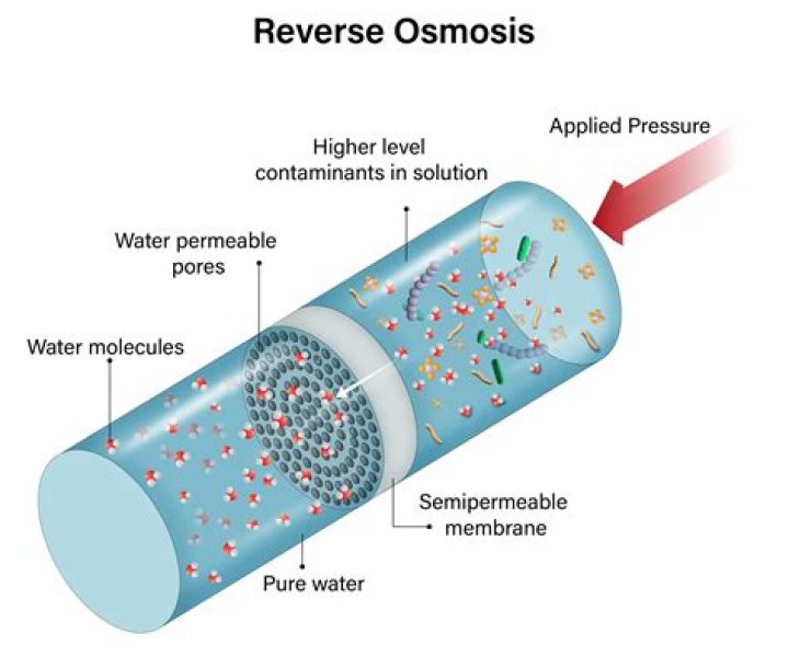 What is reverse osmosis for dummies?