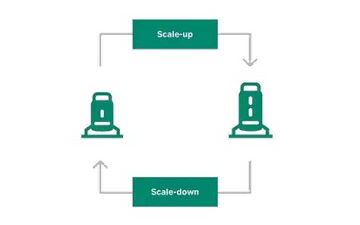 What is scale down process?