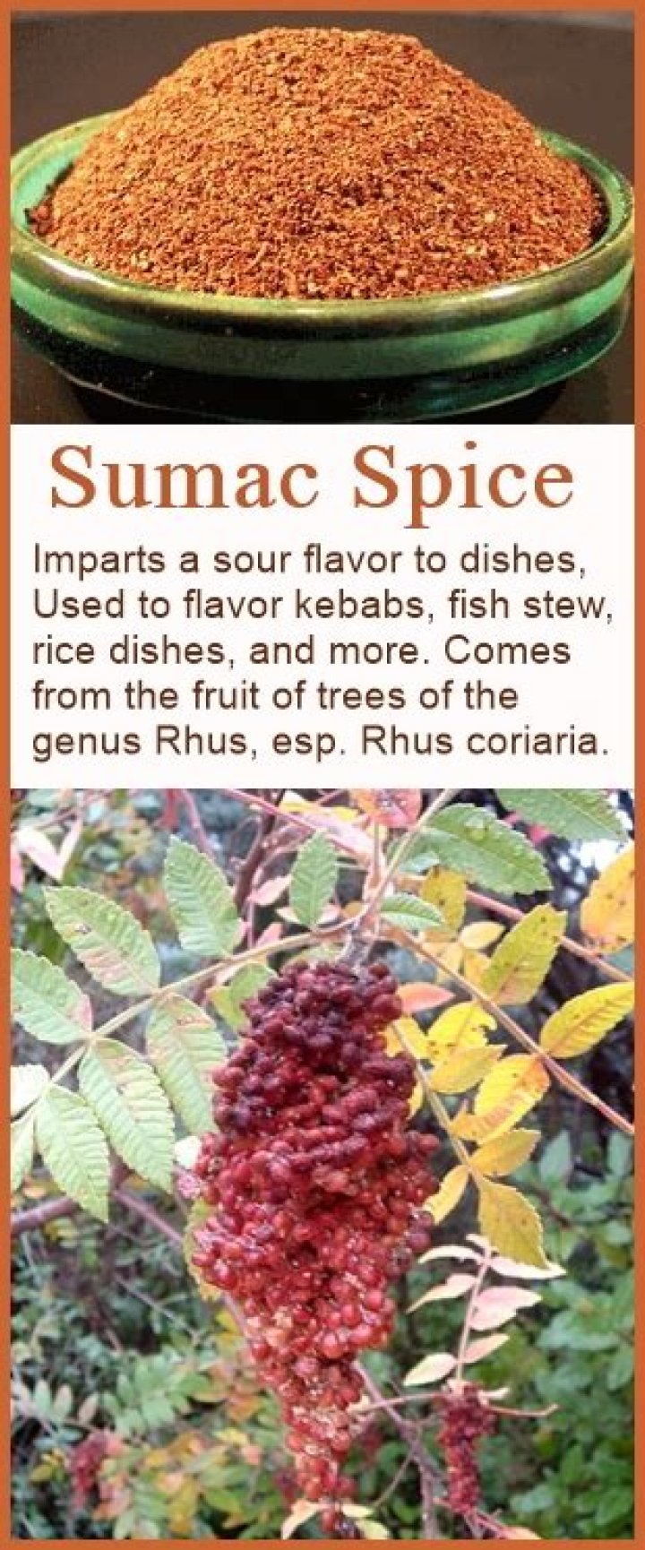 What is sumac seasoning?