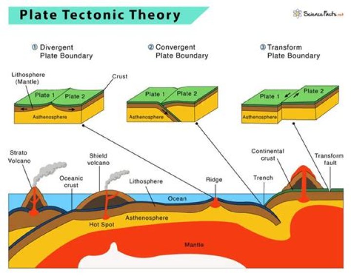 What is the definition of plate in science?