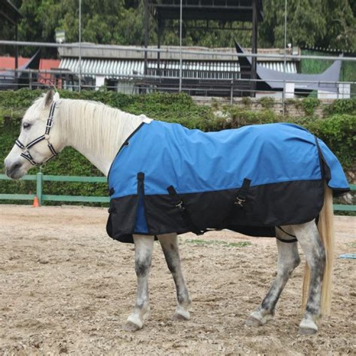 What is the denier in a horse blanket?