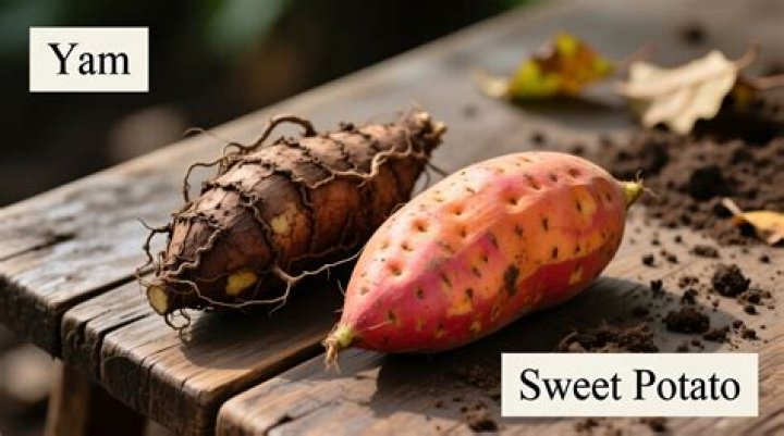 What is the difference between sweet tea and sweetened tea?