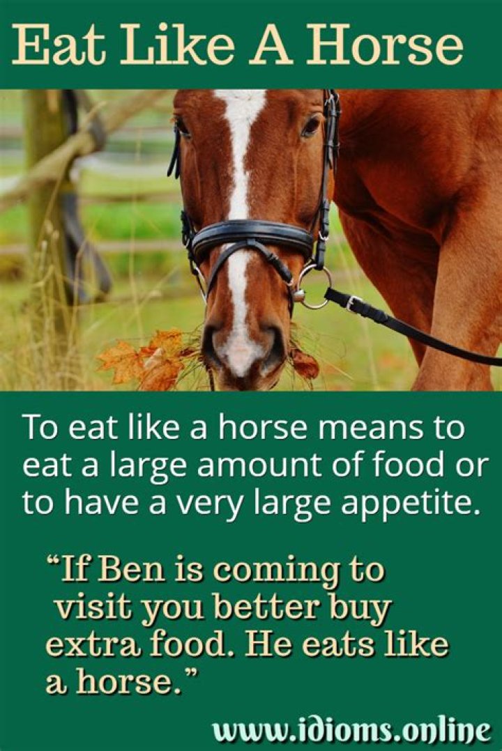 What is the meaning of eat like a horse?