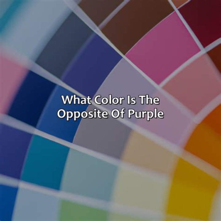 What is the opposite of a migrant?