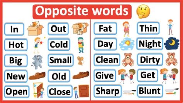 What is the opposite word for hidden?