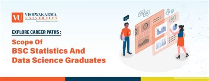 What is the scope of BSC statistics?