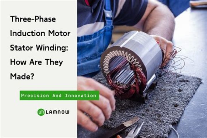 What is the type of induction motor?