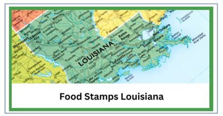 What is the website for food stamps in Louisiana?