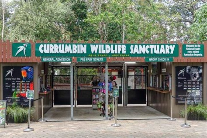 What is there to do at Currumbin Wildlife Sanctuary?