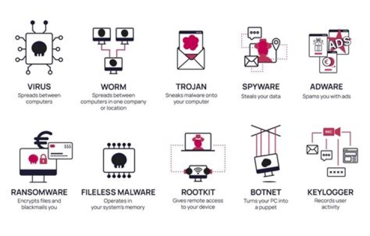 What is virus or malware?