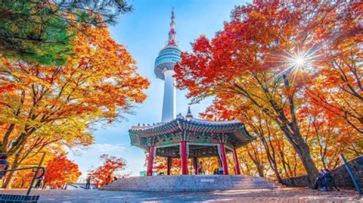 What months are autumn in South Korea?