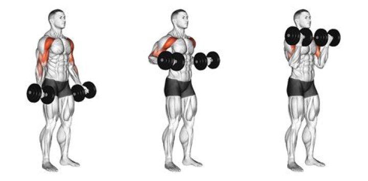 What muscles do drag curls work?