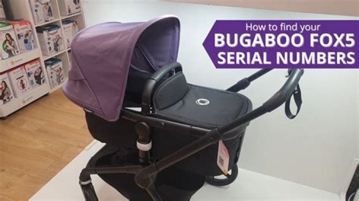 What year is my Bugaboo Cameleon?