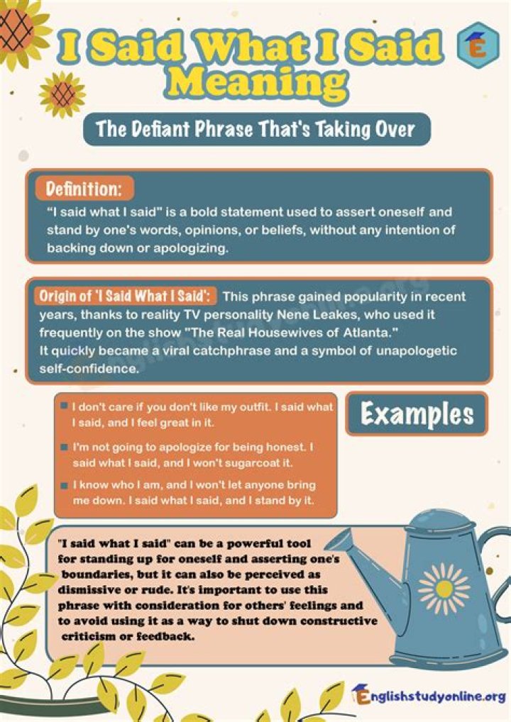 What you said Meaning?