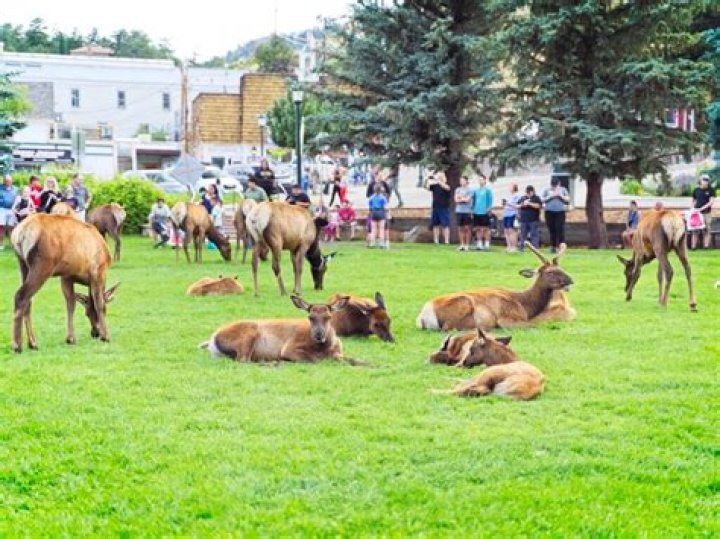 Where can I fish in Estes Park?