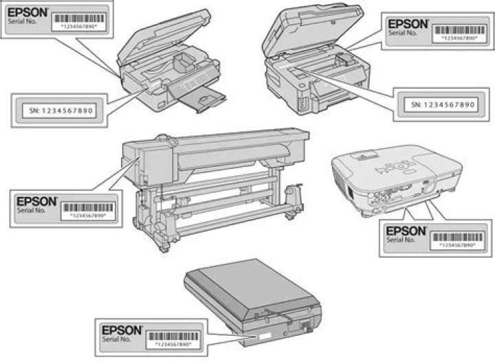 Where is my Epson printer serial number?