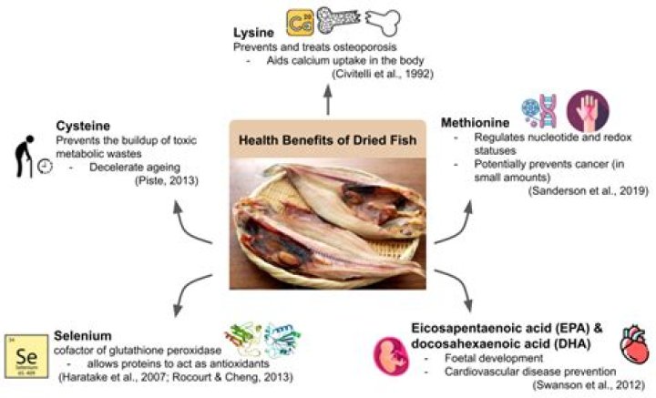 Which environment is best for the preservation of bones?