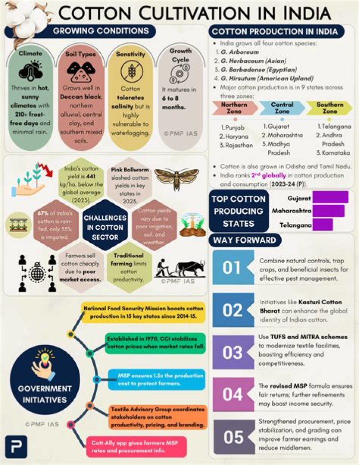 Which is the diploid species of cotton?