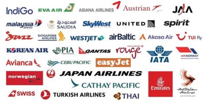 Which local airline is the best in Nigeria?