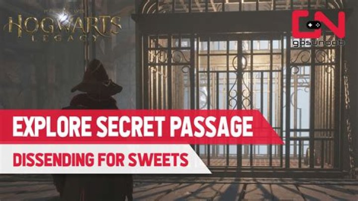 Which pub provides a secret passage to Hogwarts?