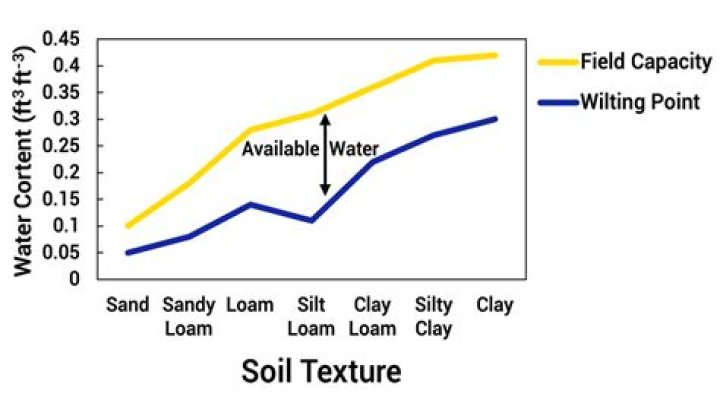 Which soil has lowest water holding capacity?