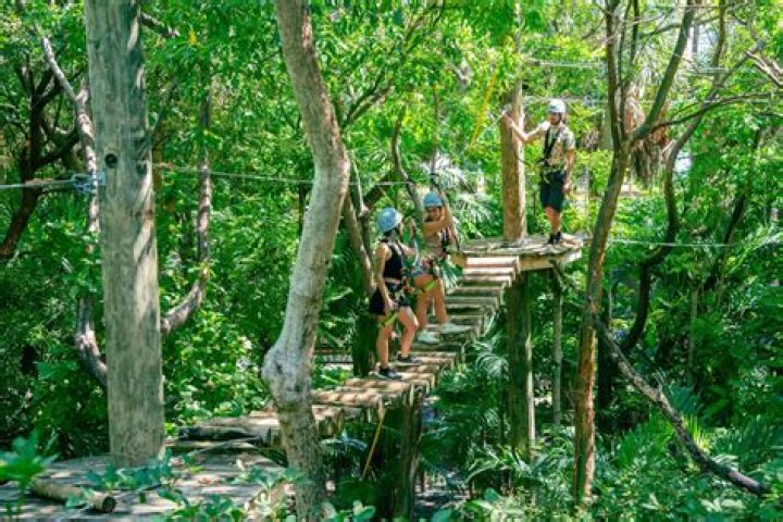 Which Treetop Trekking is the best?