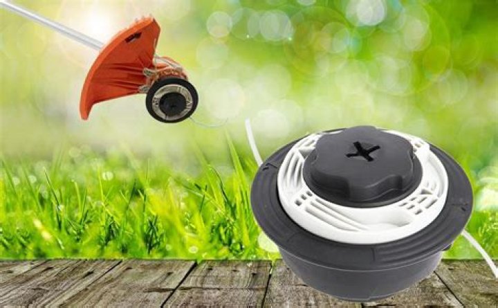 Which trimmer is best and cheap?