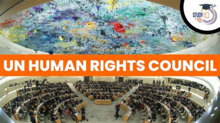 Who does the UN Human Rights Council report to?