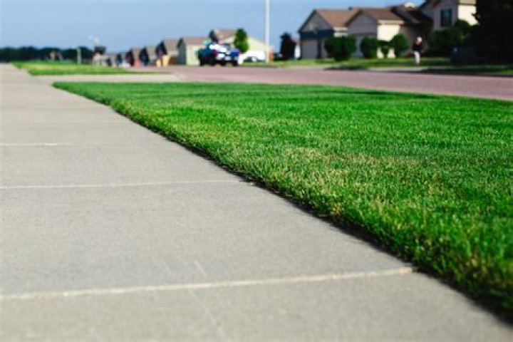 Who owns the patch of grass between the sidewalk and the street?