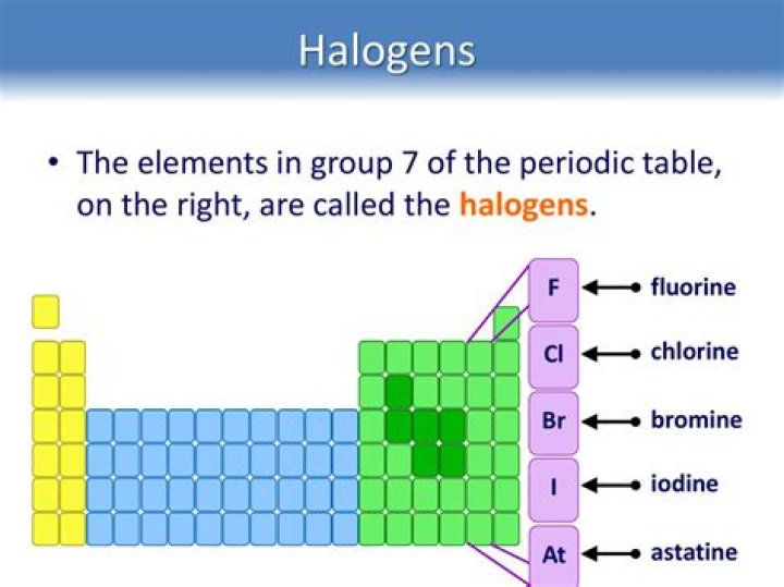 Why are halogens not found free in nature?