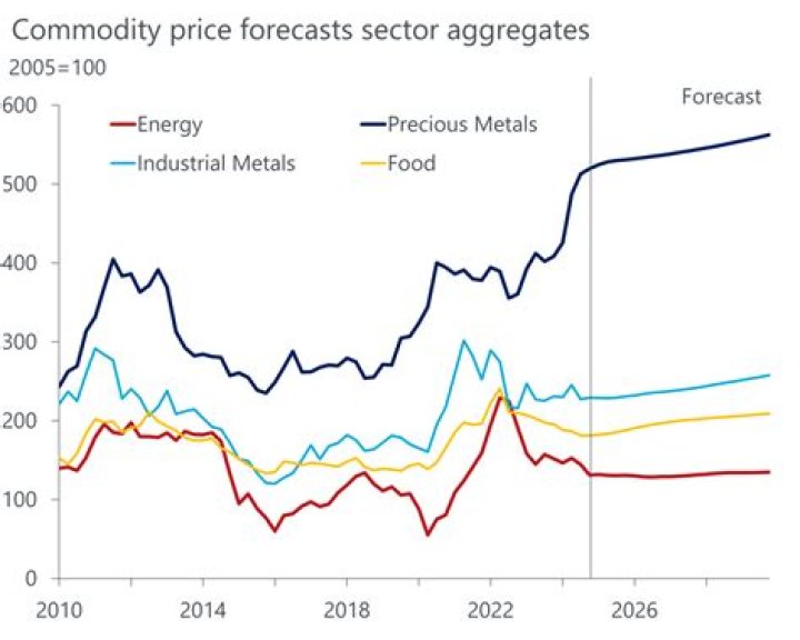 Why did commodity prices rise in 2008?