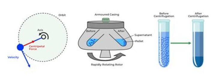 Why do heavier particles centrifuge more rapidly?