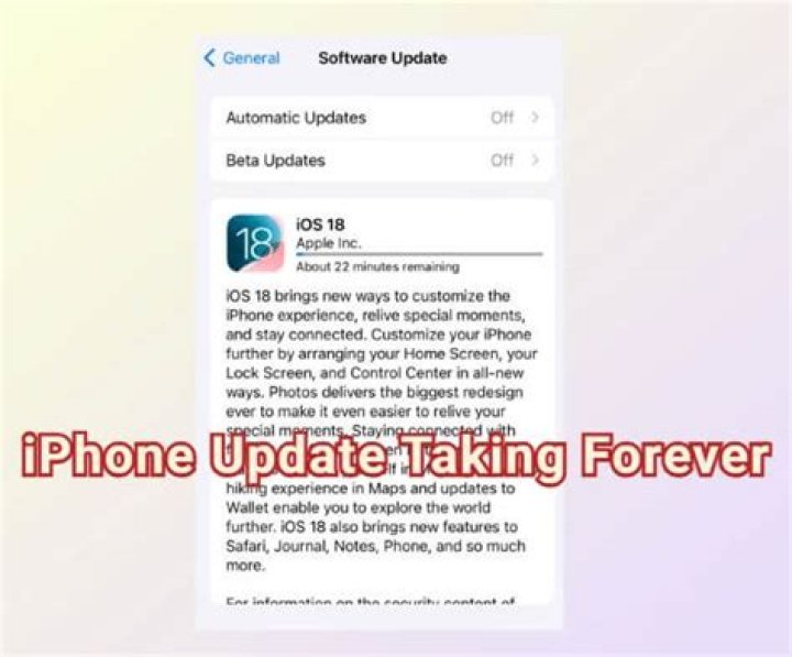 Why is checking for updates taking forever?
