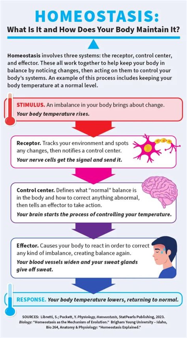Why is maintain tablets used?