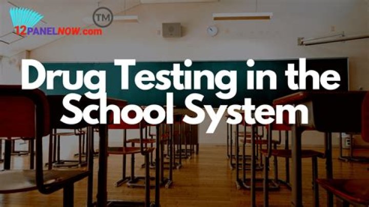Why should there be random drug testing in schools?